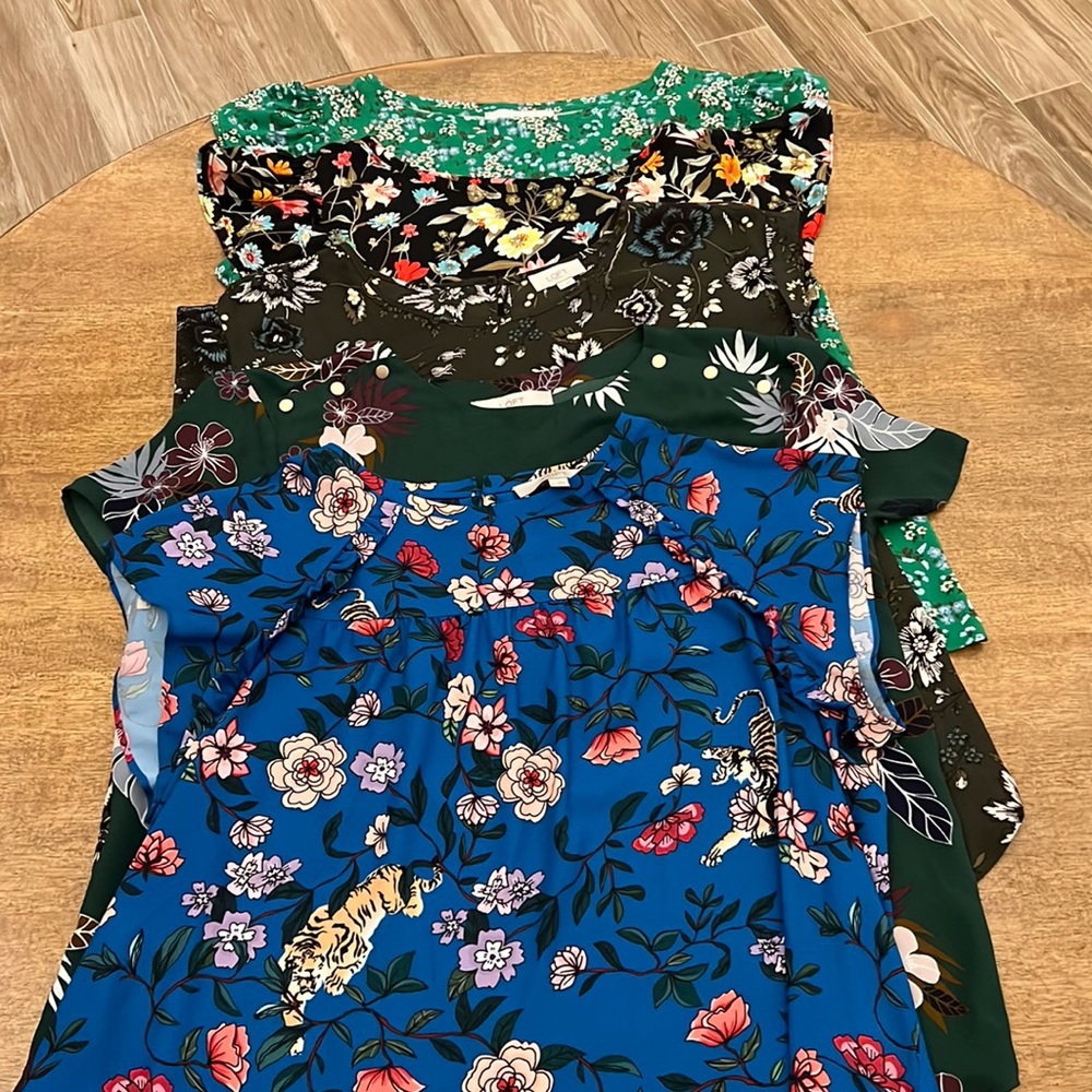 Lot of FIVE Loft Tops! XL (Floral, Tigers, Ruffle)